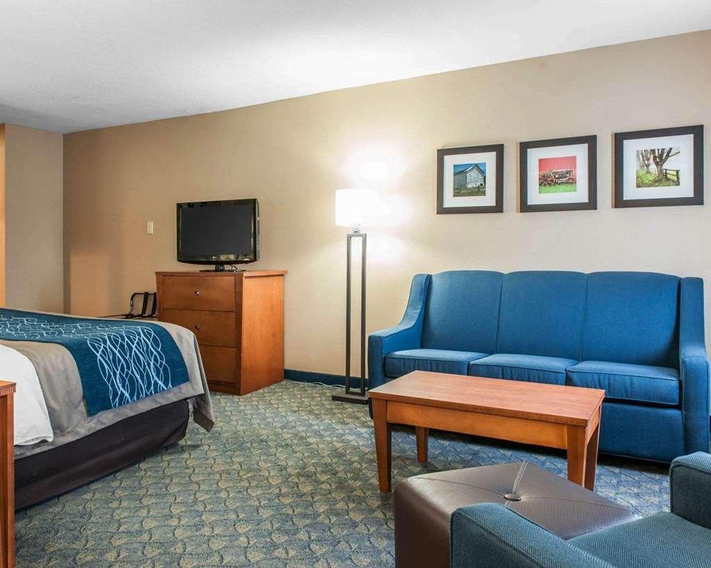 Comfort Inn & Suites Napoleon Pokoj fotografie