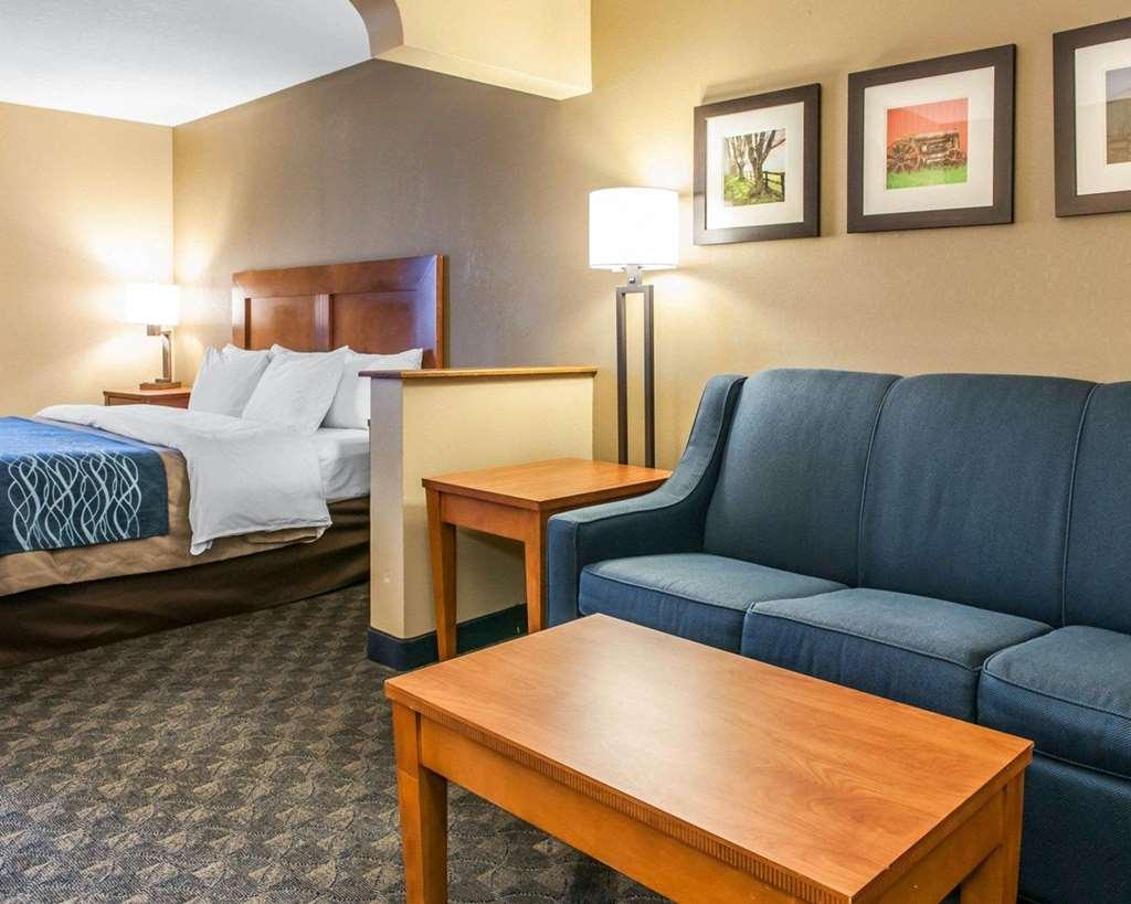 Comfort Inn & Suites Napoleon Pokoj fotografie